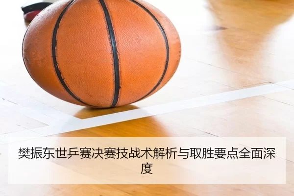 樊振东世乒赛决赛技战术解析与取胜要点全面深度 - KAIYUN
